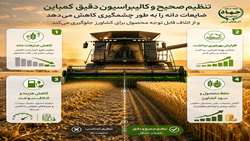 طلای زرد در مزرعه هدر نرود